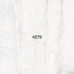 PMCP 4579G