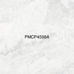 PMCP 4598AG