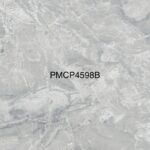 PMCP 4598BG