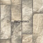 PMCP 4599G
