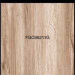 FGC 66211G