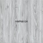 YMP 66124G