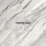 YMP 66146G