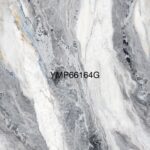 YMP 66164G