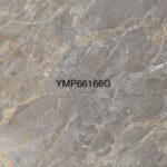 YMP 66166G