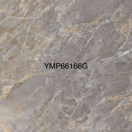 YMP 66166G