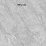 YMP 66175G