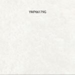 YMP 66179G