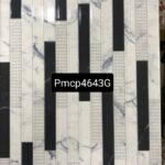 PMCP 4643G