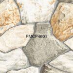 PMCP 4601G