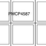 PMCP 4587G