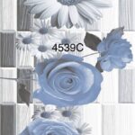 PMCP 4539CG