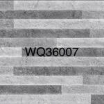 WQ 36007G