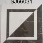 SJ 66031