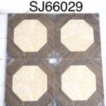 SJ 66029