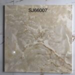 SJ 66007