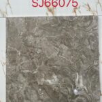 SJ 66075