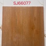 SJ 66077