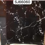 SJ 66060