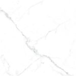 PMCP 4667G
