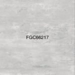 FGC 66217G