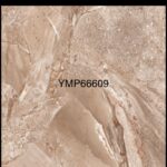 YMP 66609G