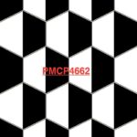 PMCP 4662G