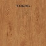 FGC 66299G