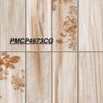 PMCP 4673CG