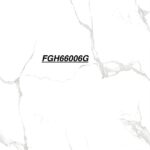 FGH 66006G