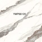 YMP 66120G