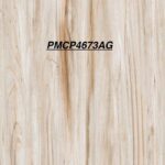PMCP 4673AG
