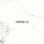 YMP 66113G
