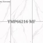 YMP 66216G MF