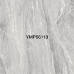 YMP 66118G
