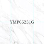 YMP 66231G MF