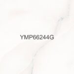 YMP 66244G