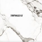 YMP 66221G