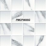 PMCP 4655G