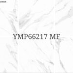 YMP 66217G MF