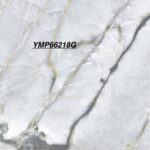 YMP 66218G