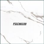 FGC 66339G
