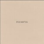 FGC 66071G