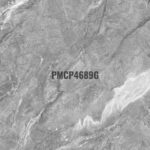 PMCP 4689G