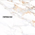 YMP 66219G