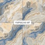 YMP 66248G