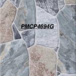 PMCP 4694G