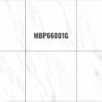MBP 66001G