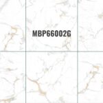 MBP 66002G
