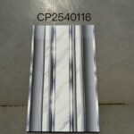CP 2540116